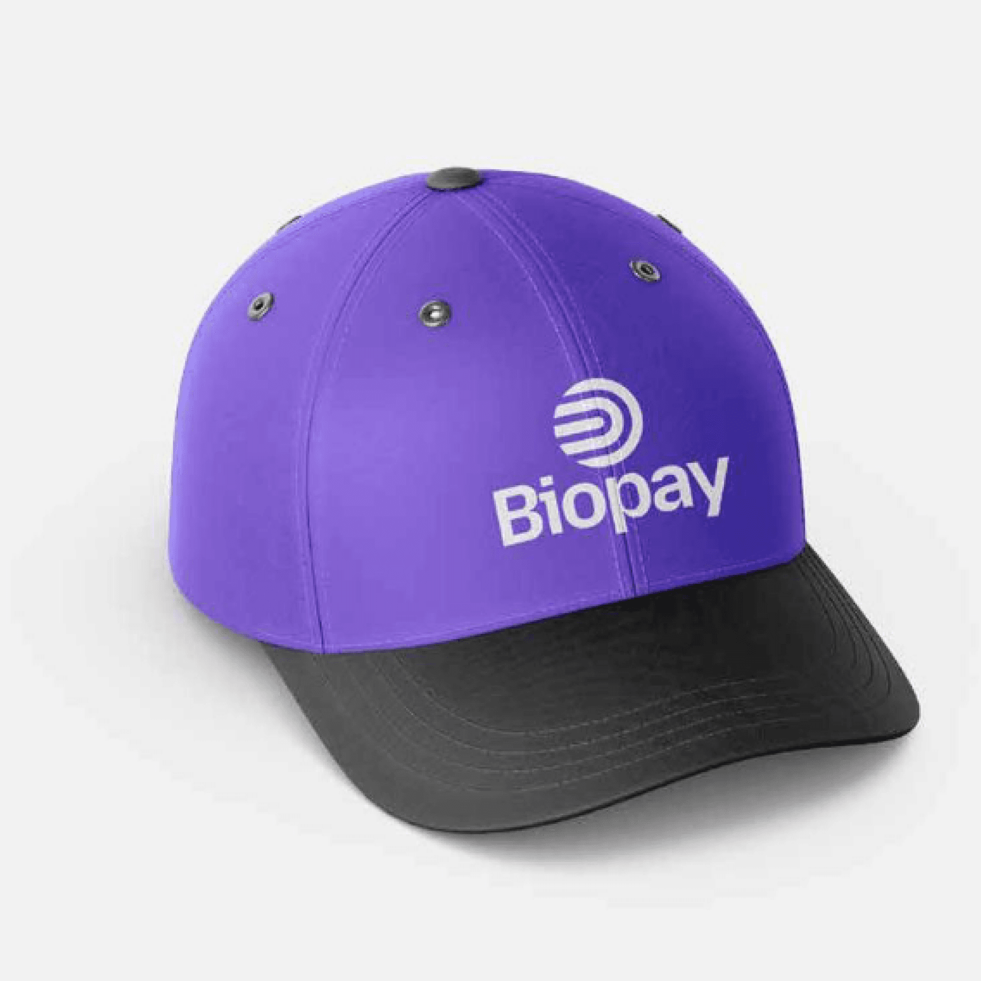 BioPay Brand System